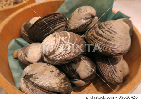 clam 39016426