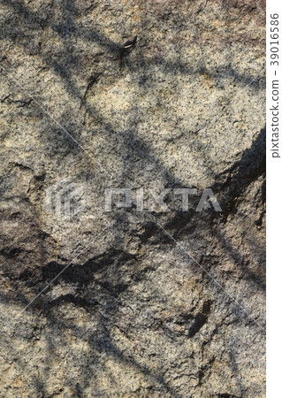 Rough rough skin 39016586