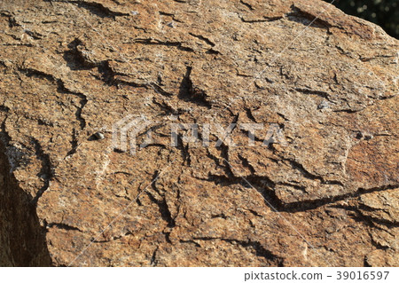 Rough rough skin 39016597