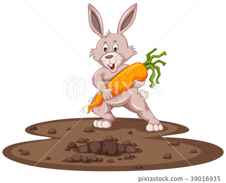 Cute bunny and fresh carrot in garden Cute bunny and fresh carrot in garden 39016935