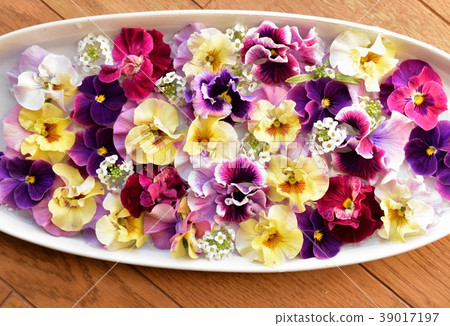 Lots of viola petals, interior Lots of viola petals, interior 39017197