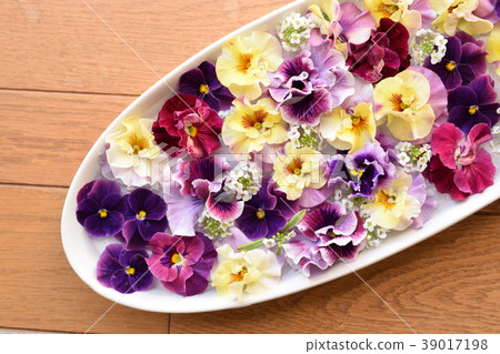Colorful spring flower petals, interior Colorful spring flower petals, interior 39017198