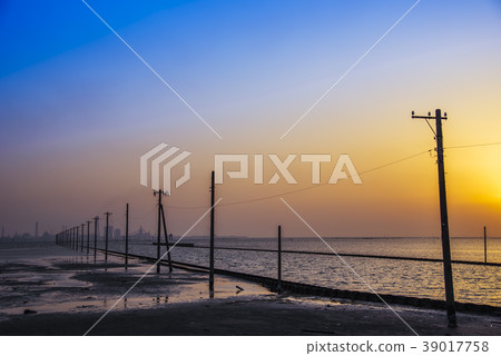 [江川海岸] 39017758