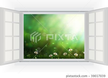 Open window of daisies in a meadow. vector 39017839