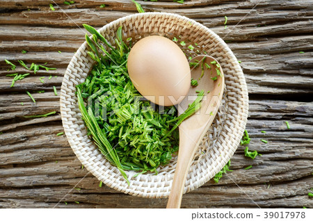 egg and acacia pennata prepare for omelet cooking egg and acacia pennata prepare for omelet cooking 39017978