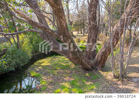 Arakawa exercise park street Okubo water purification plant Saitama City Arakawa exercise park street Okubo water purification plant Saitama City 39018724