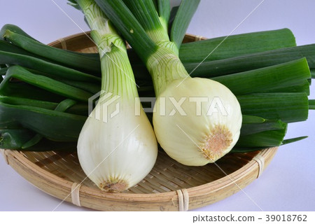 留下洋蔥 留下洋蔥 39018762
