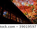 Autumn leaves of mainland temple 39019597