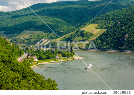 Vineyards at Rhine Valley in Germany 39019988