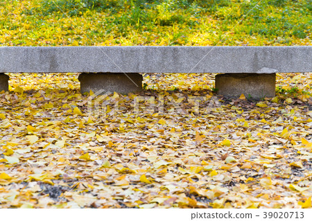 銀杏銀杏 39020713