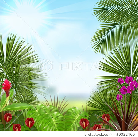 Beautiful tropical in the morning with a tree and  39022469