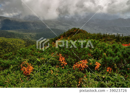 Mt. Nigozuma 39023726