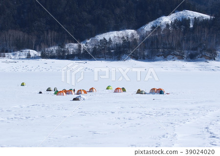 Fishing fish 39024020