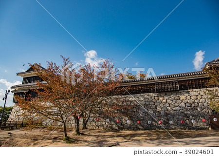 愛媛縣松山城在秋天 愛媛縣松山城在秋天 39024601