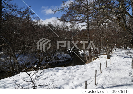 Senjogahara in winter Senjogahara in winter 39026114