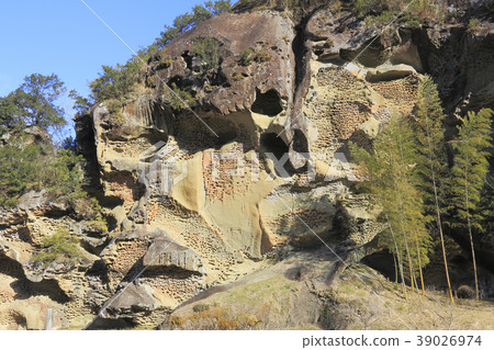 Insect bitumen 39026974