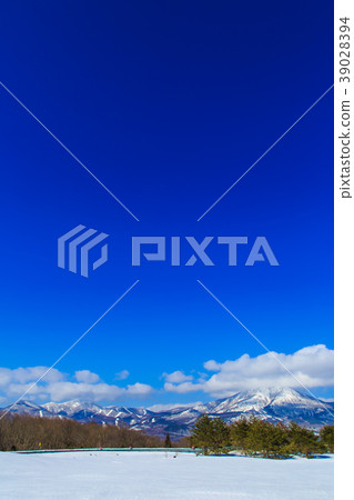 Foshan Northeast winter scenery from Foshan SA 39028394