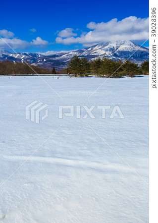 Foshan Northeast winter scenery from Foshan SA 39028396