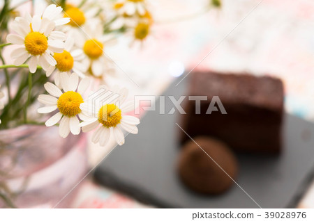 Matricaria and Chocolat Matricaria and Chocolat 39028976