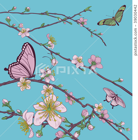 Cherry Peach Blossom Tree Flowers and Butterflies 39030442