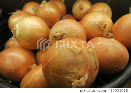 onion  39031018