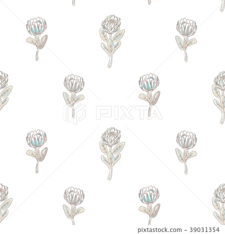 Protea flower seamless vector pattern. 39031354