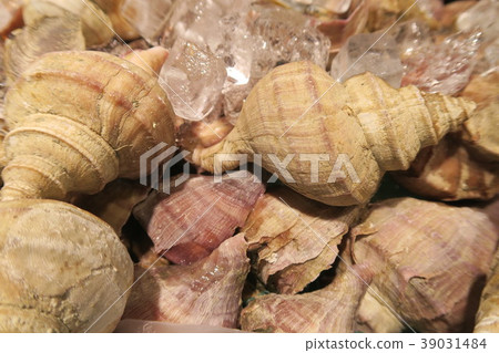 Crab shell Crab shell 39031484