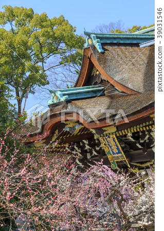 Umezakuru Kitano Tianmangu 39031546