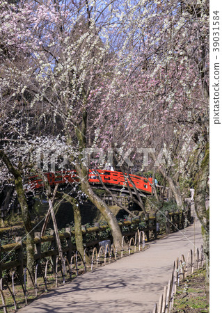 Umezakuru Kitano Tianmangu 39031584