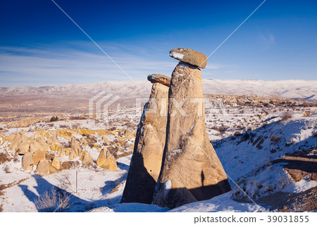 Fairy chimneys at Cappadocia, Turkey  39031855