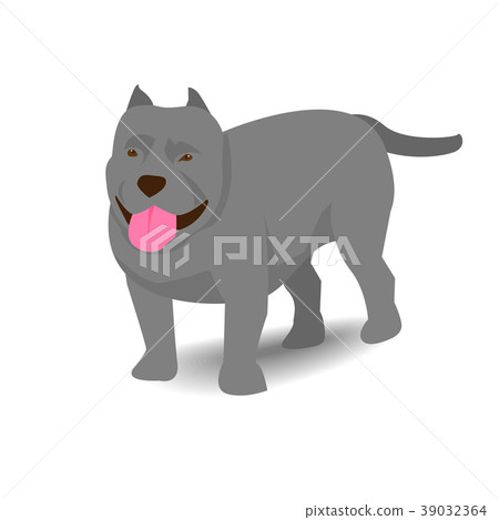 Pitbull with shadow on white background Pitbull with shadow on white background 39032364