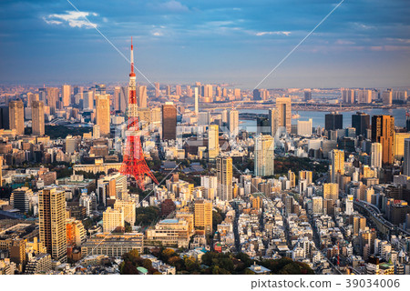 Tokyo aerial panoramic view 39034006