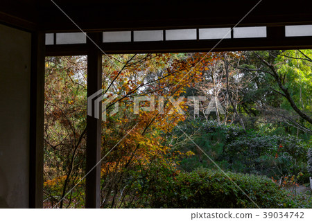 Takiguchi Temple-Autumn leaves 39034742