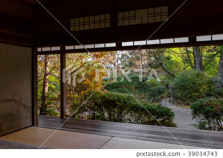 Takiguchi Temple-Autumn leaves Takiguchi Temple-Autumn leaves 39034743