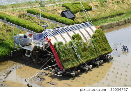 水稻種植機 水稻種植機 39034767