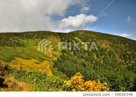 Nigozuma山 Nigozuma山 39036346