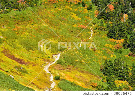 Nigozuma山 Nigozuma山 39036475