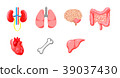Various organs 39037430