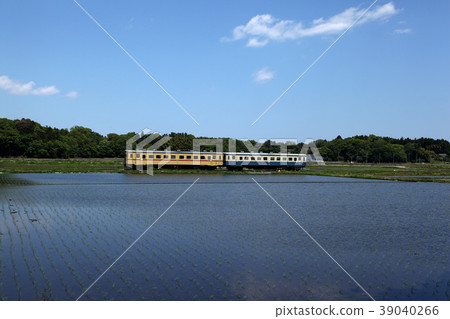 Hitachi Beach Railway's Kiha 20 and Kiha 22. 2014/5/10 39040266