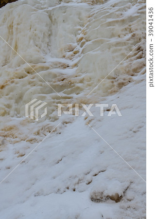 黃色秋天 39041436