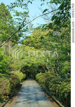 Kyoto's narrow roads (around Kiyomizu Temple) 39041769