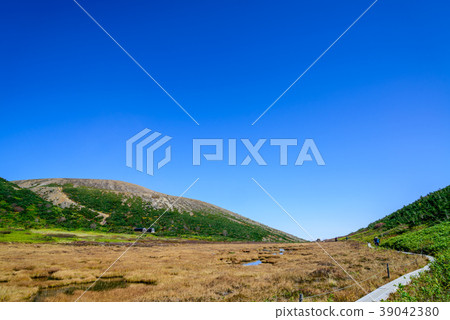 Blue sky and high-rise moor 39042380