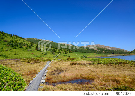 Kakinuma and the blue sky 39042382