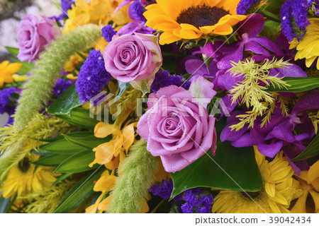 flower 39042434