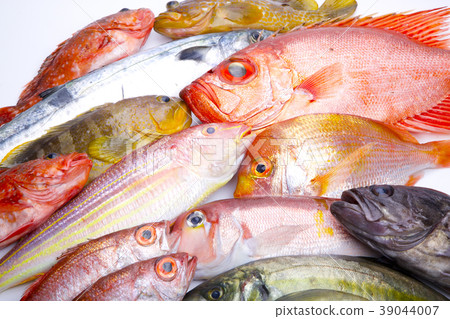 什錦魚 39044007