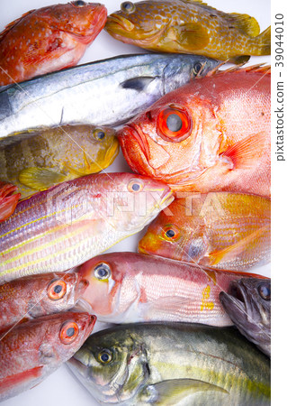 什錦魚 什錦魚 39044010