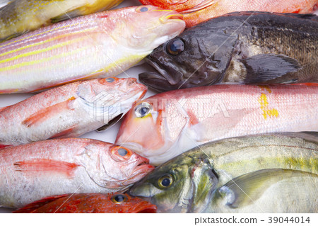 Assorted fish 39044014