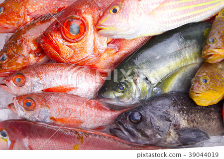什錦魚 39044019
