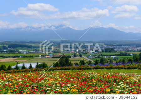 Landscape of Furano, Hokkaido Landscape of Furano, Hokkaido 39044152