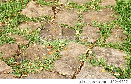 Stone Pathway in the Green Park Stone Pathway in the Green Park 39044552
